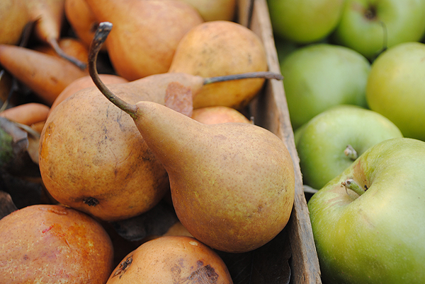Bosc Pears