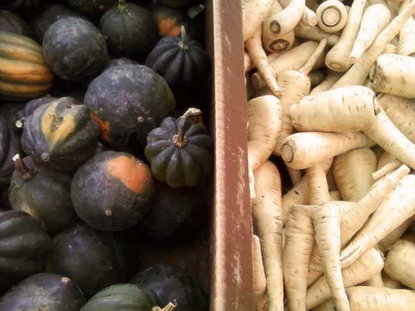 Acorn Squash and Parsnips from Bed-Stuy's Farm Share 2010. Acorn Squash and Parsnips from Bed-Stuy's Farm Share 2010.