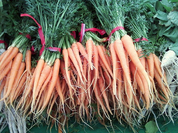 Baby Carrots Baby Carrots