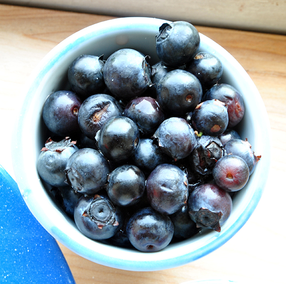 Fresh Blueberries