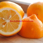 Meyer Lemon Meyer Lemon