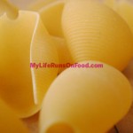 Pasta Shells Pasta Shells