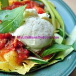 Fresh Tomato Sauce with Zucchini Papparelle Pasta Fresh Tomato Sauce with Zucchini Papparelle Pasta