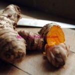 Fresh Turmeric Fresh Turmeric