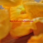 Zucchini Flowers Zucchini Flowers