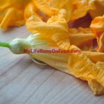 Zucchini Flowers Zucchini Flowers