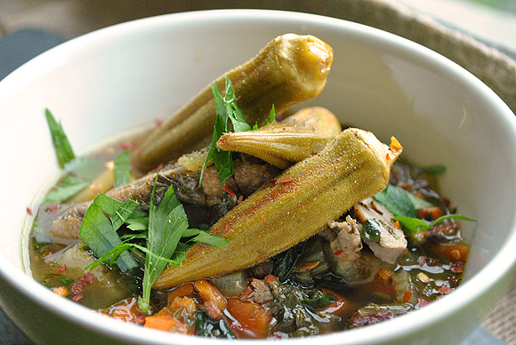 Duck and Turnip Stew with Dandelion Greens Garnished with Pickled Okra Duck and Turnip Stew with Dandelion Greens Garnished with Pickled Okra